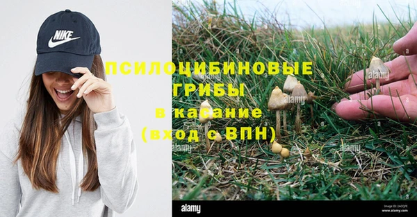 МДПВ Алзамай