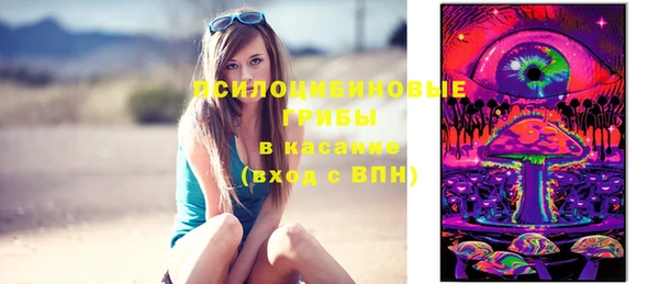 МДПВ Алзамай