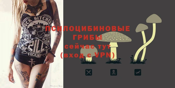 Альфа ПВП Алексин