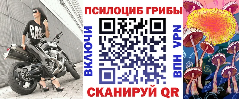 Псилоцибиновые грибы GOLDEN TEACHER  Котлас 
